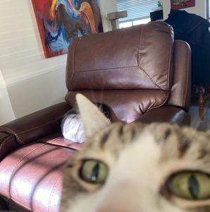 Meet your Posher, Alex